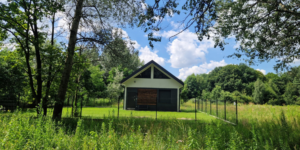 dark retreat in poland