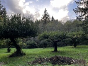 dark retreat in oregon