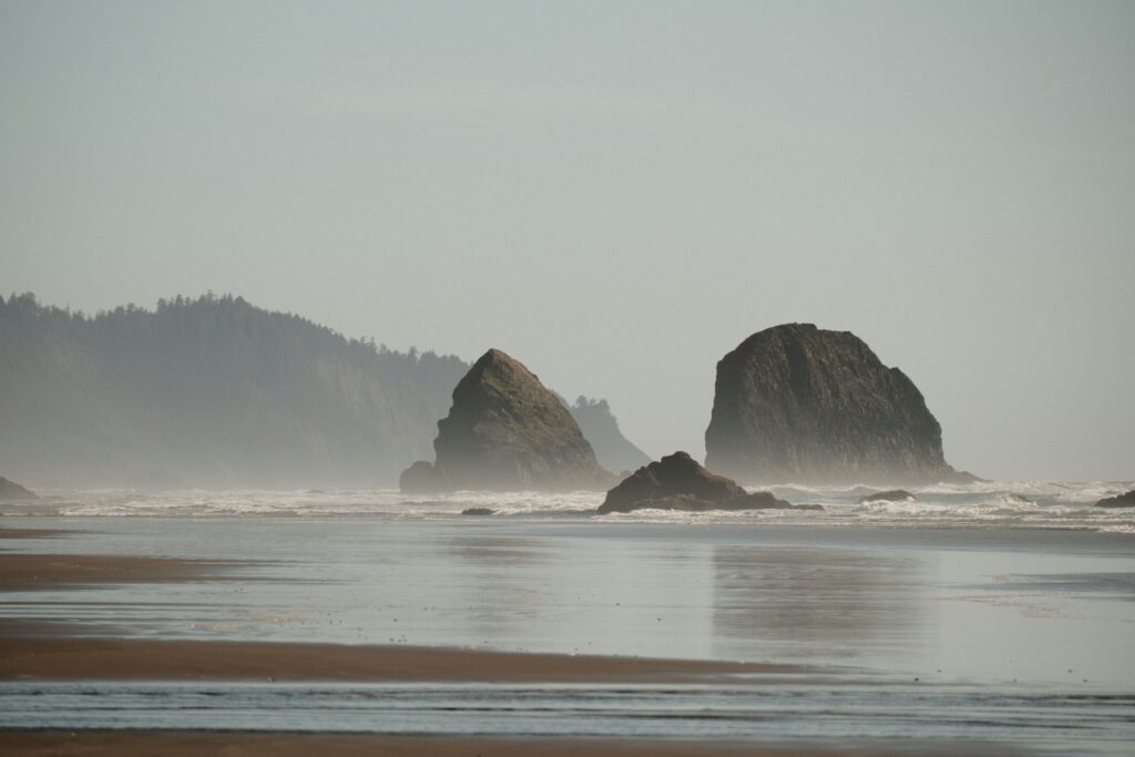 Washington Nature Beach