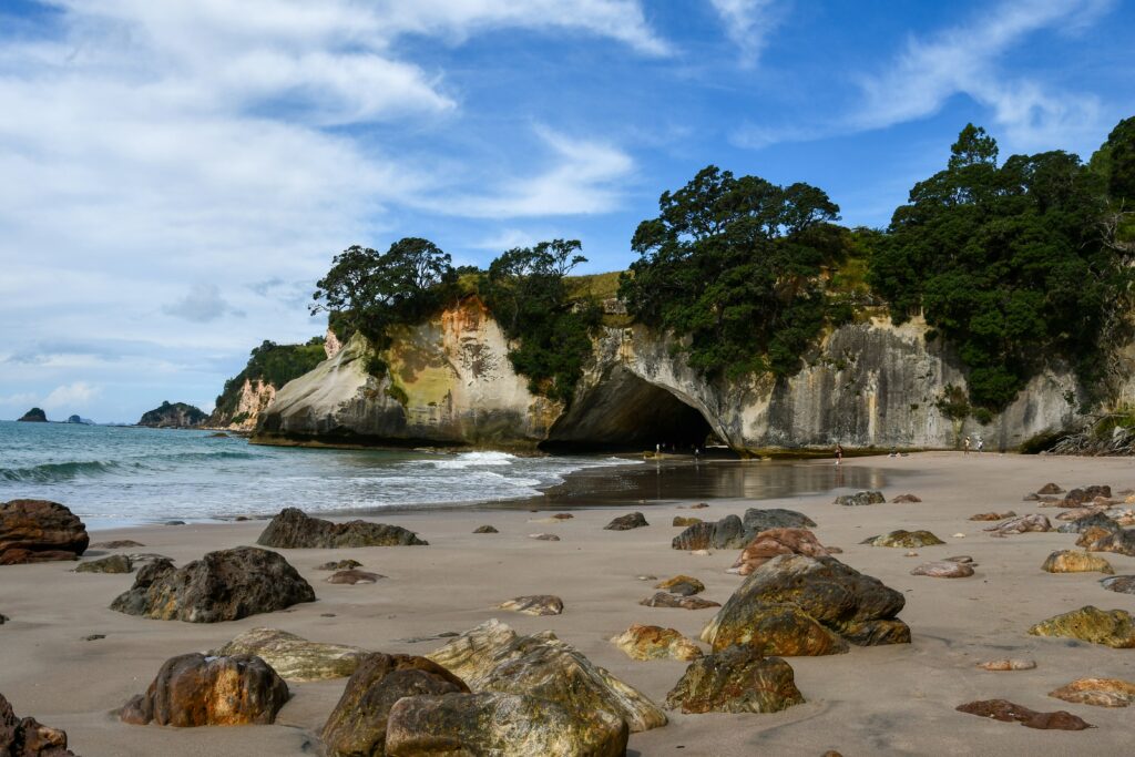 Top Ayahuasca Retreats in Thailand