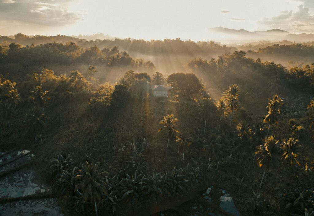 Ayahuasca Retreats in Peru